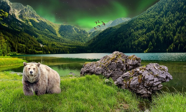 where to watch memphis grizzlies vs golden state warriors